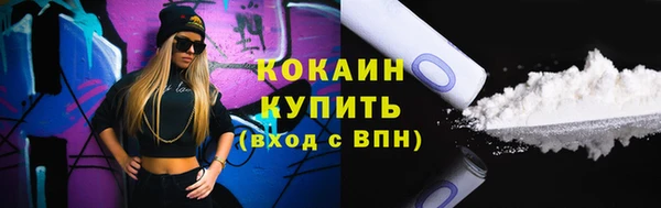 шишки Балахна