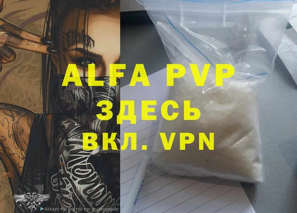 индика Аркадак