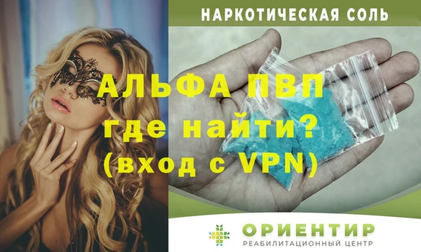 индика Аркадак