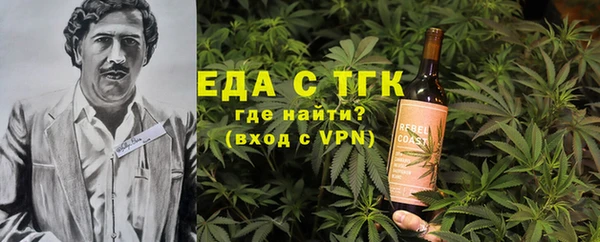 индика Аркадак