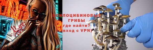 индика Аркадак