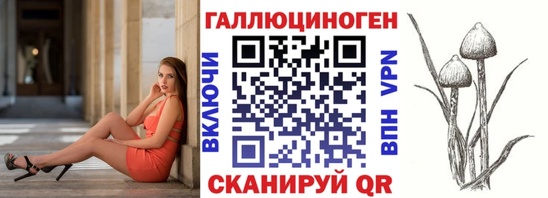 Псилоцибиновые грибы GOLDEN TEACHER  дарнет шоп  Стародуб 