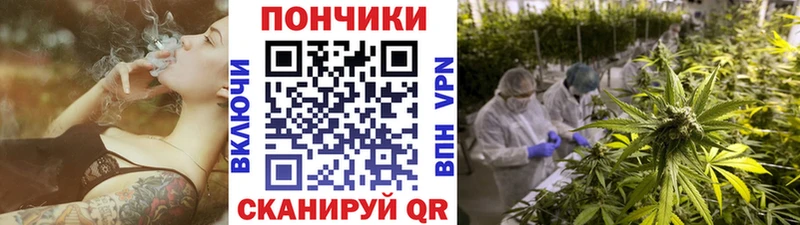 купить   Стародуб  маркетплейс телеграм  Каннабис AK-47 